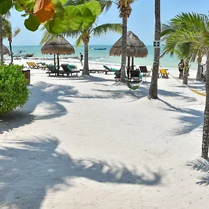 Amaite Isola Holbox
